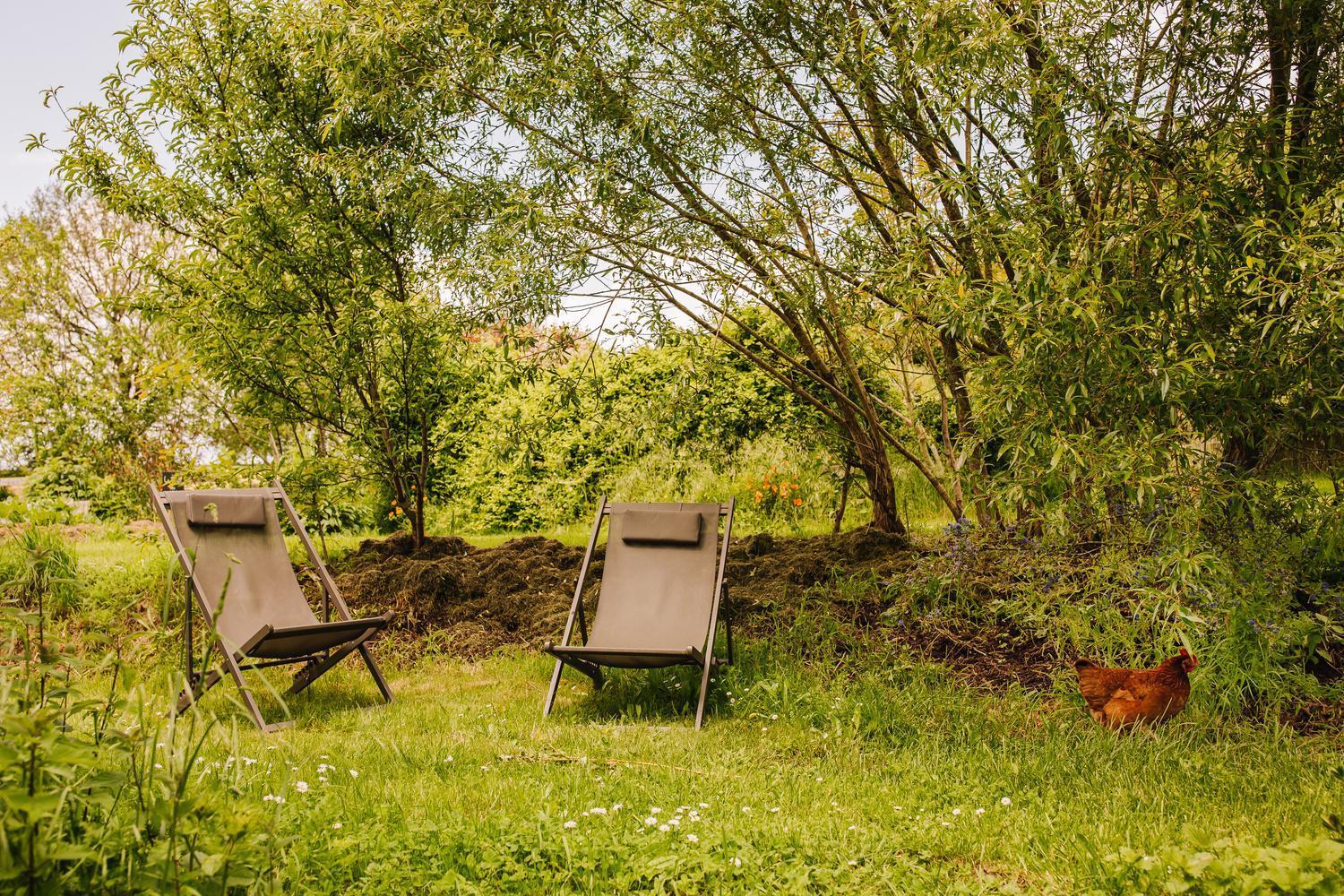 Ecolodge La Belle Verte Saint-Mʼhervé Kültér fotó